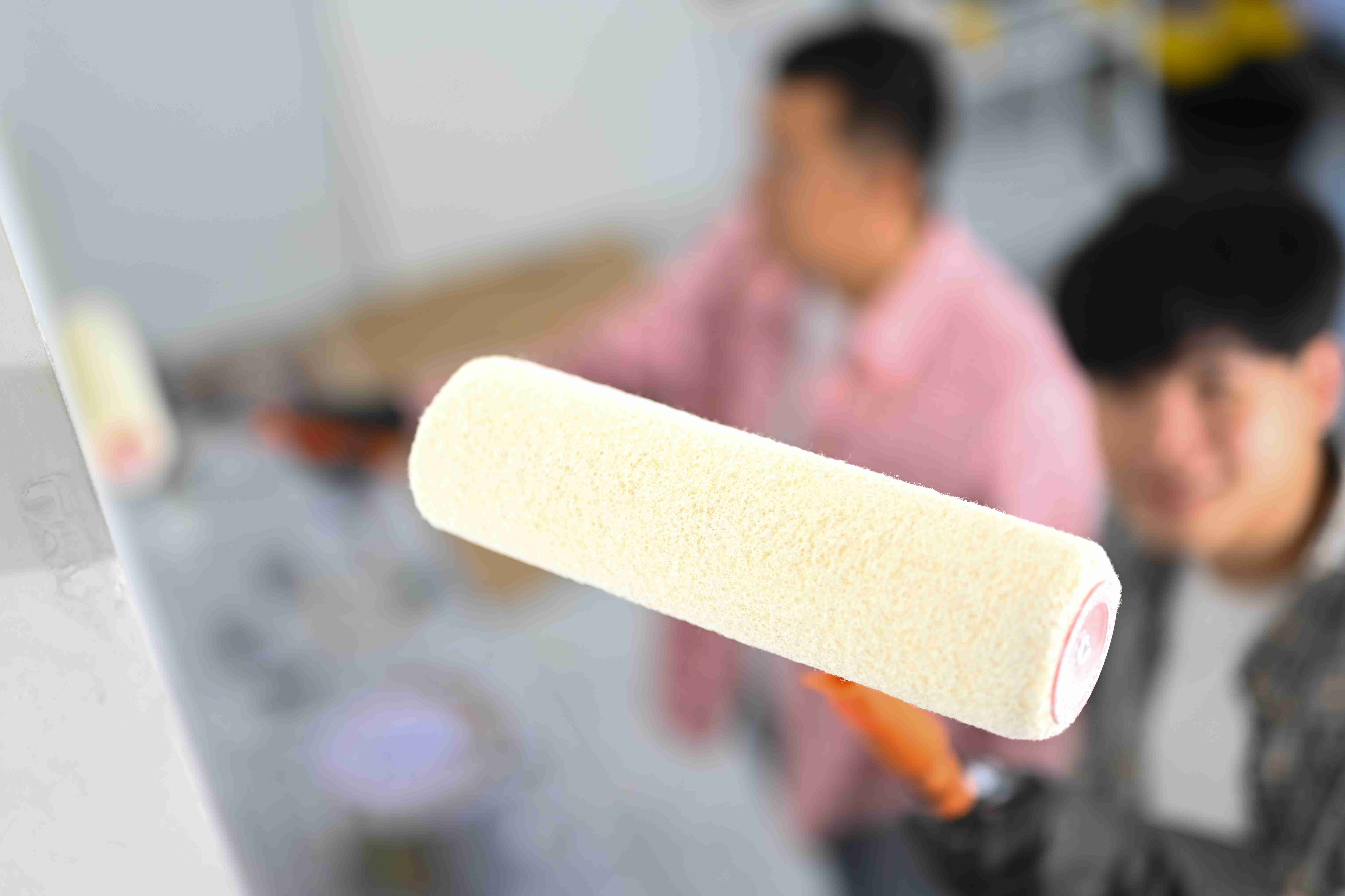 38 Or 12 Nap Roller For Walls