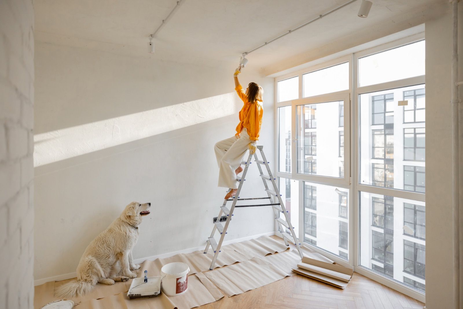 Painter On Ladder Touching Up Ceiling In Bright Room With Dog And Supplies